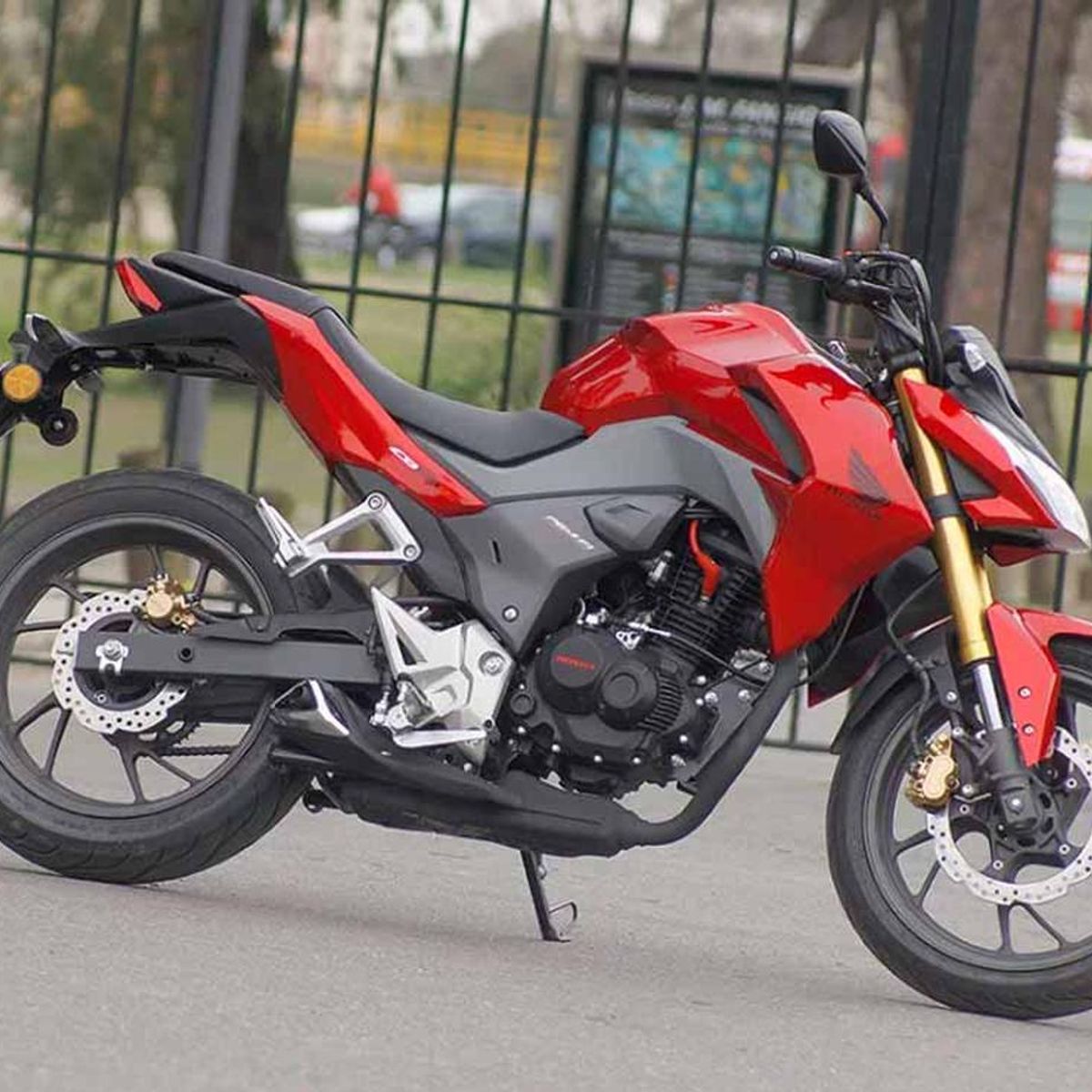 GENERICO - Guía Y Tensor De Distribución Honda Cb190rxr190lxblade160