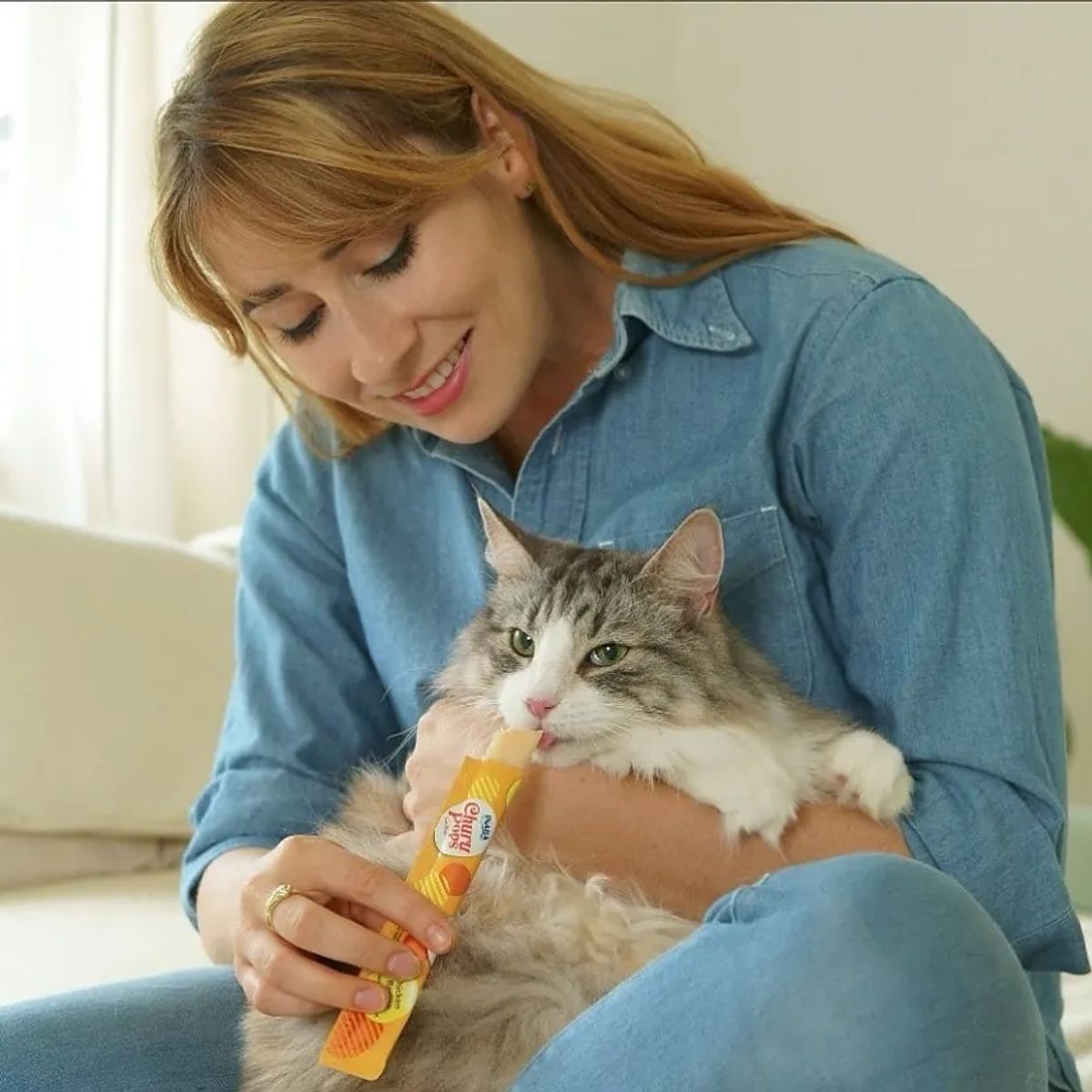 INABA - Snack Para Mascotas Gatos Churu Pops Premio 15g X4 Tubos 60g - Amarillo