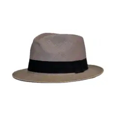 APITARA - Sombrero Panama Hat gris