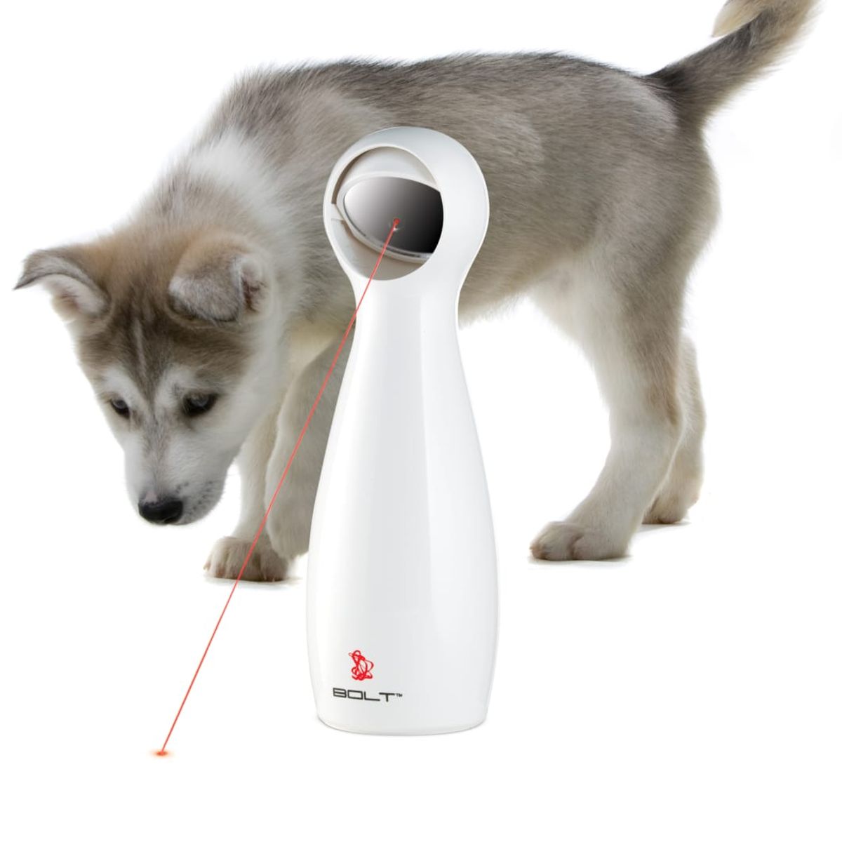 PET SAFE - Láser Bolt automático para gatos y perros Color Blanco