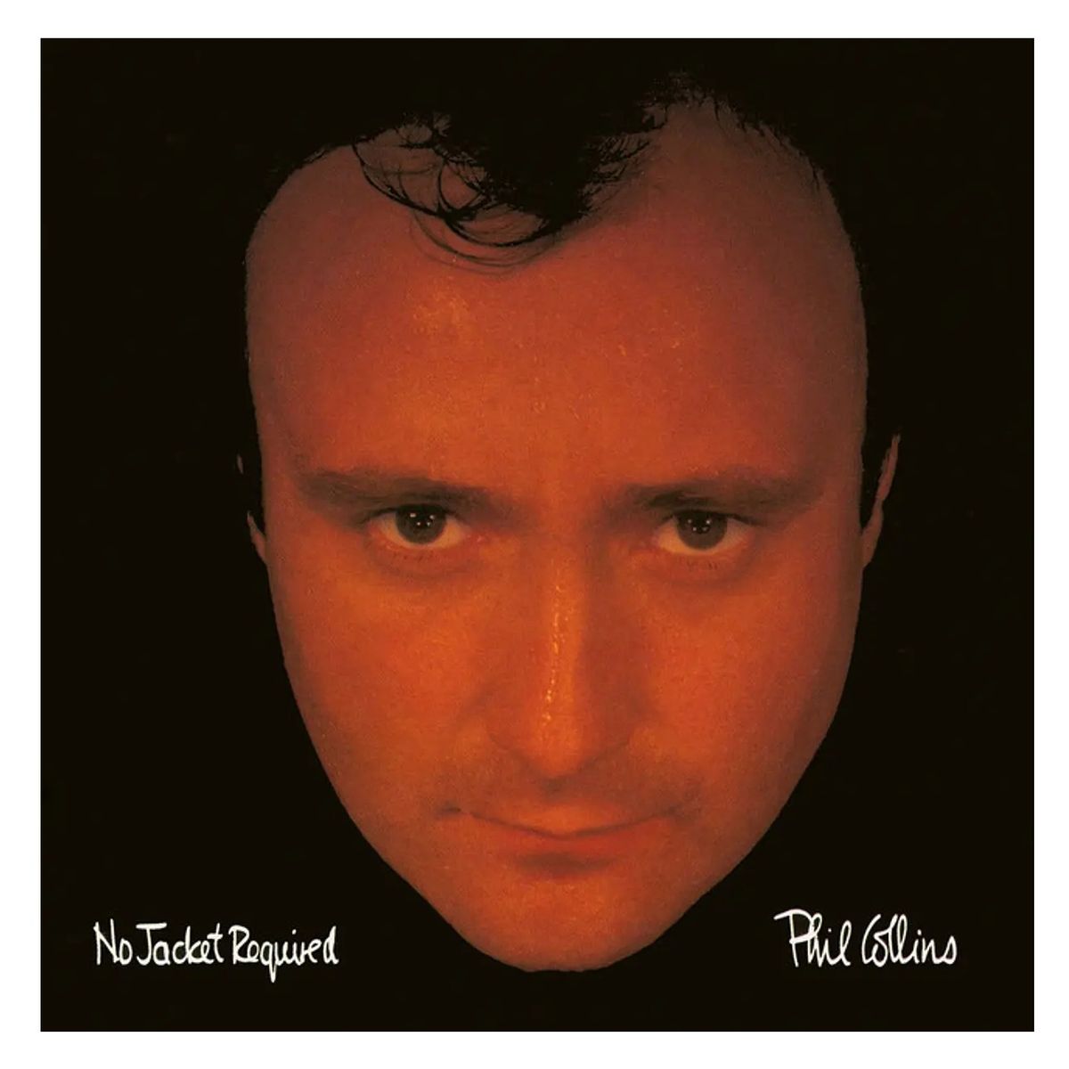 GRUPO LASER DISC - Vinilo Phil Collins No Jacket Required 1LP