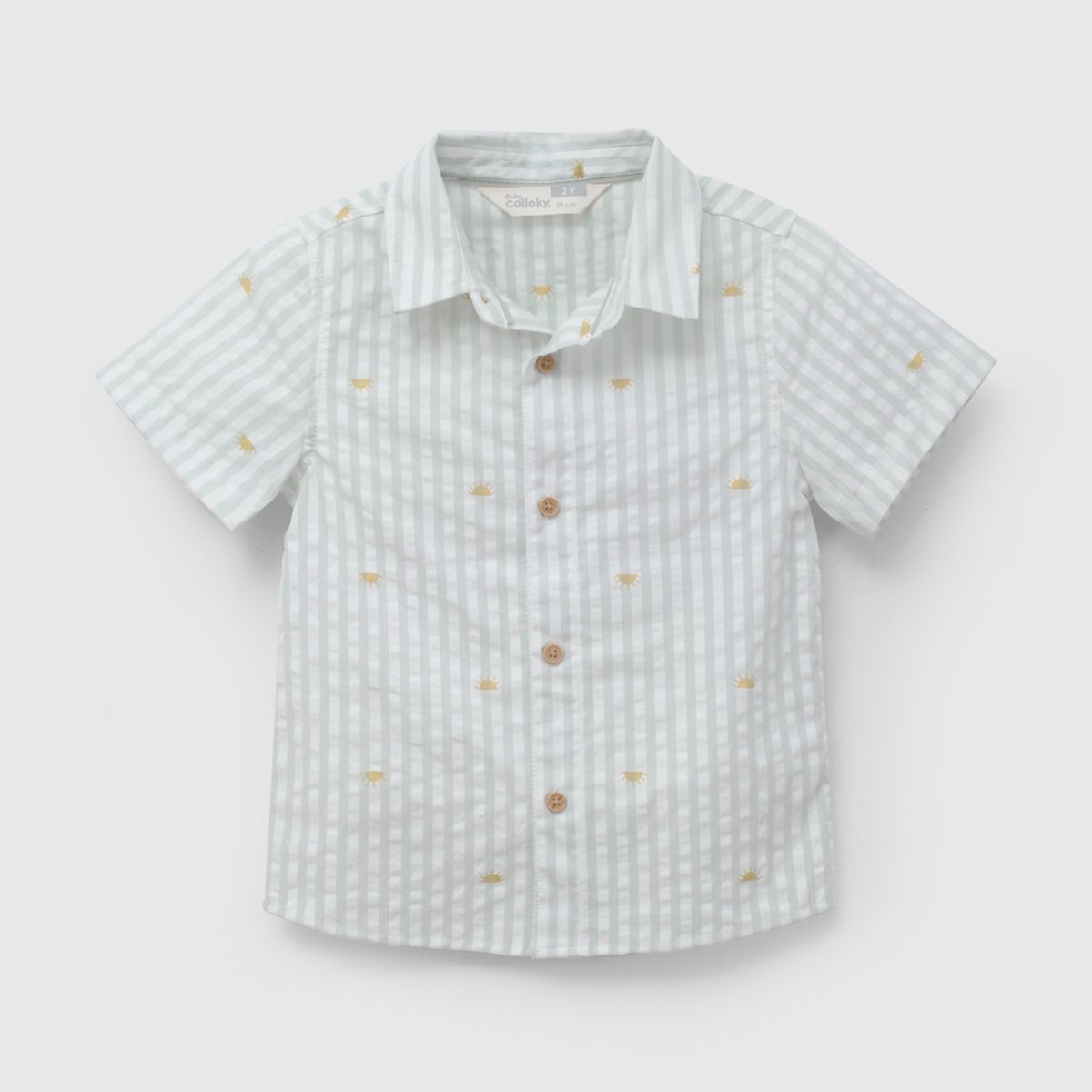 COLLOKY - Camisa Niño Verde 57427 Colloky