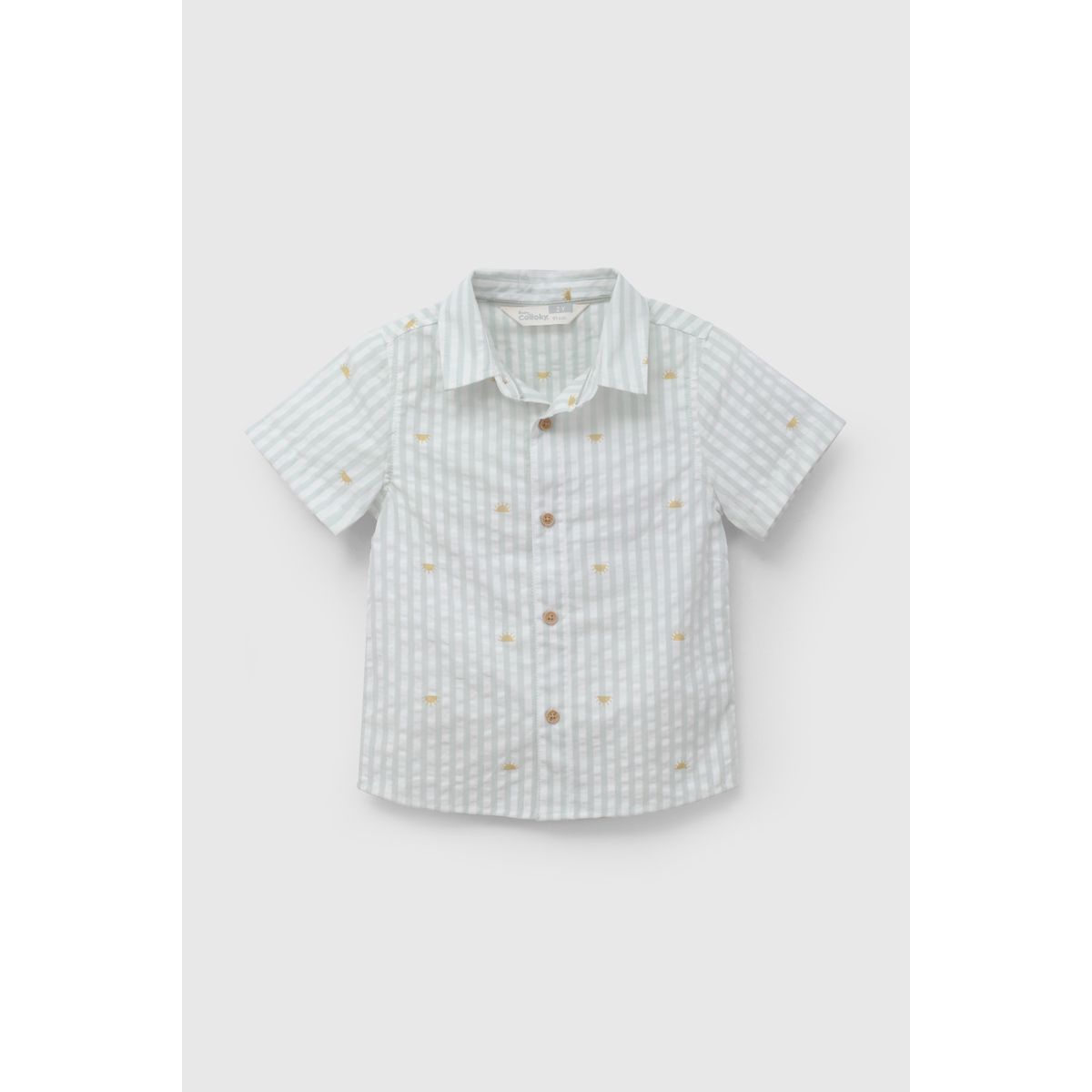 COLLOKY - Camisa Niño Verde 57427 Colloky