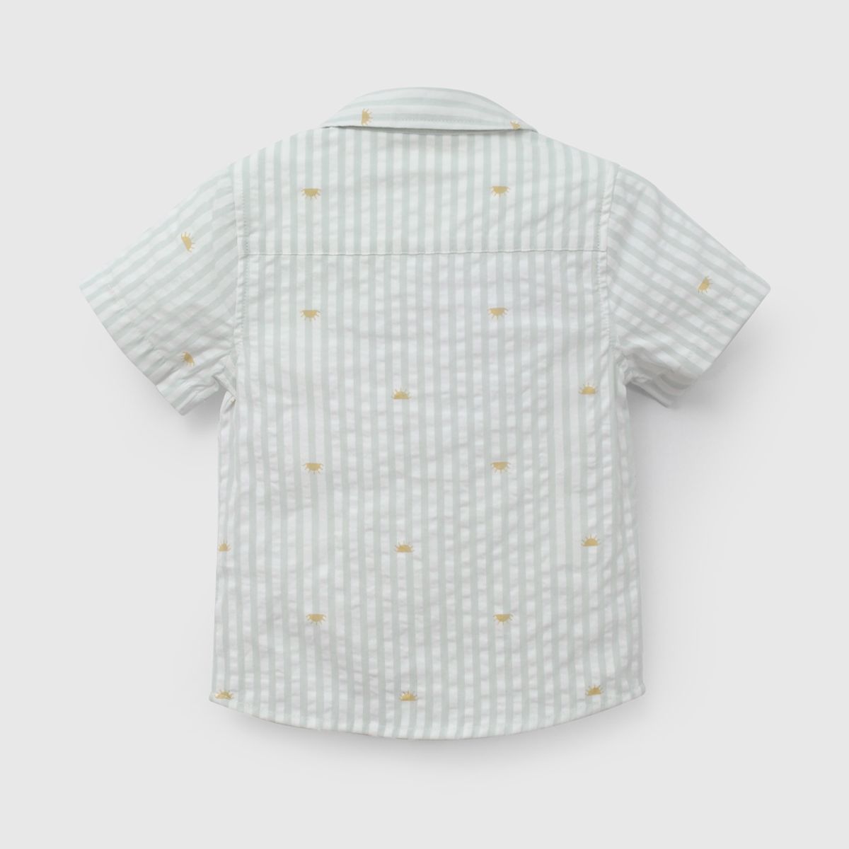 COLLOKY - Camisa Niño Verde 57427 Colloky