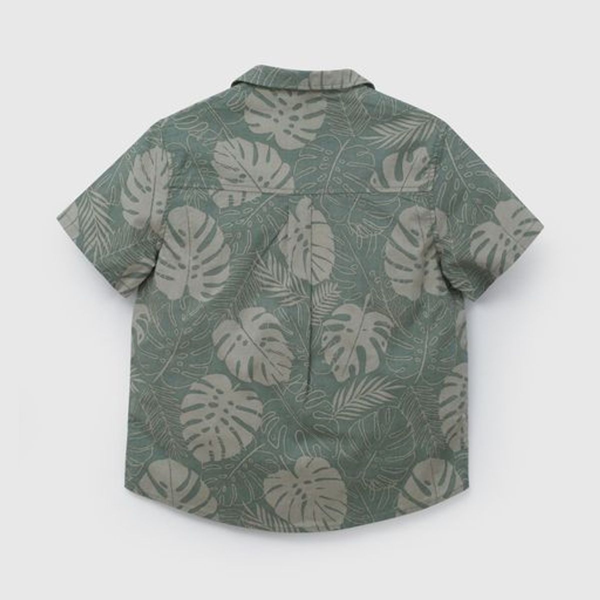 COLLOKY - Camisa Niño Verde 58374 Colloky