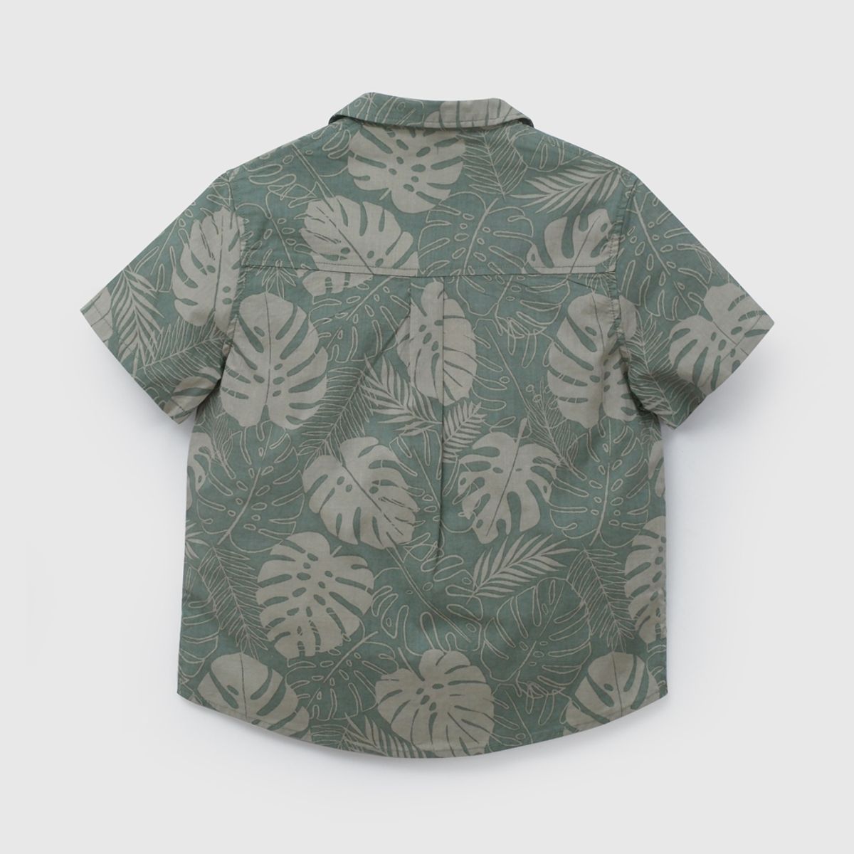 COLLOKY - Camisa Niño Verde 58374 Colloky