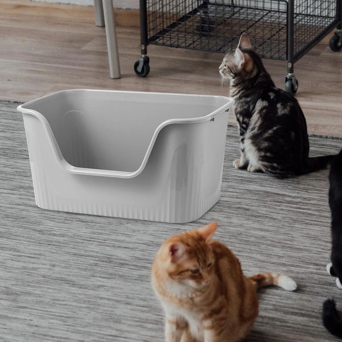 GENERICO - Bandeja de arena grande y abierta para mascotas color gris