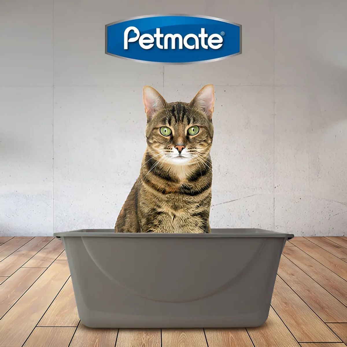 GENERICO - Arenero Para Gato Jumbo Petmate Mascotas Sanitario Higiene Color Gris