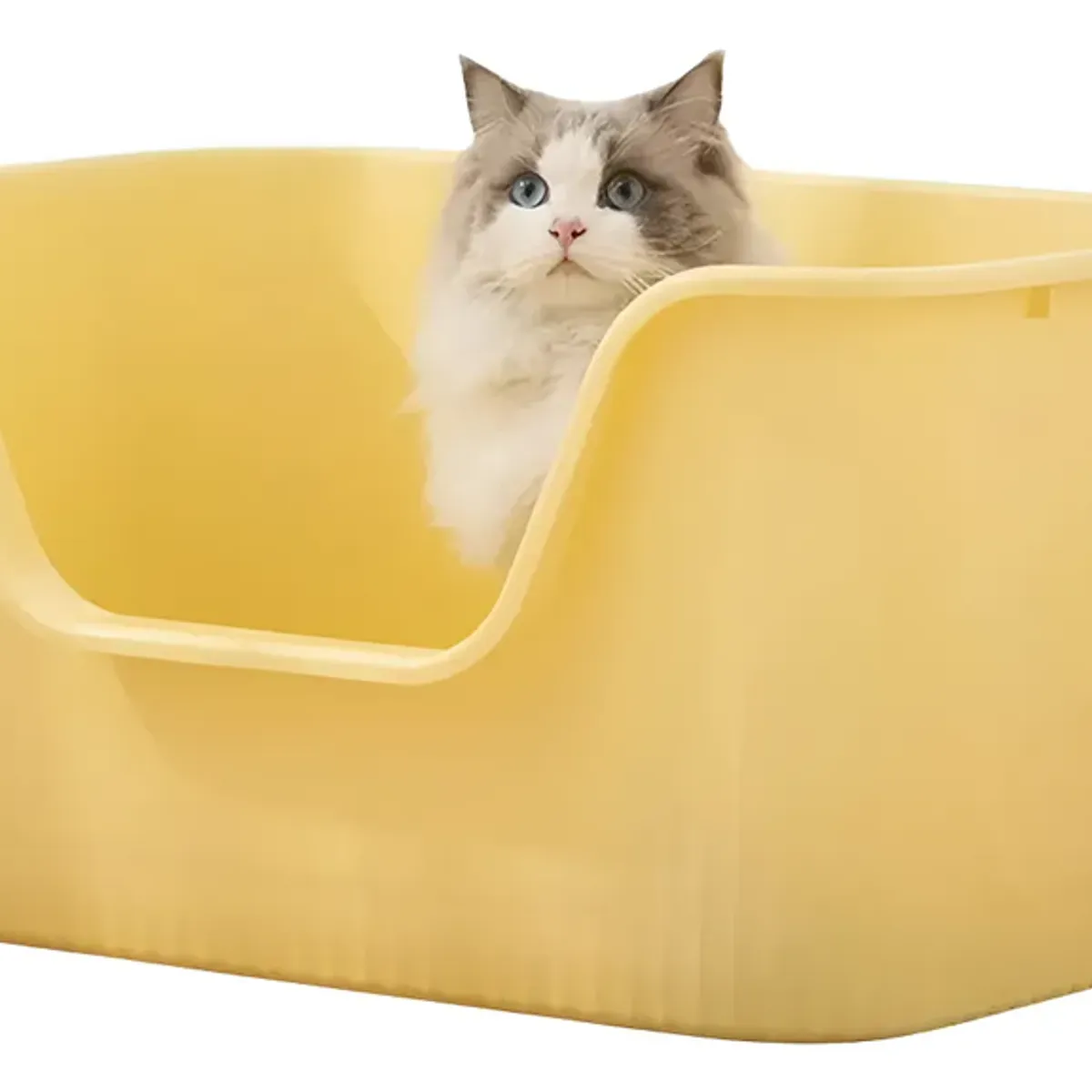 GENERICO - Arenero De Gatos Xl Bandeja Sanitaria De Mascotas Con Pala