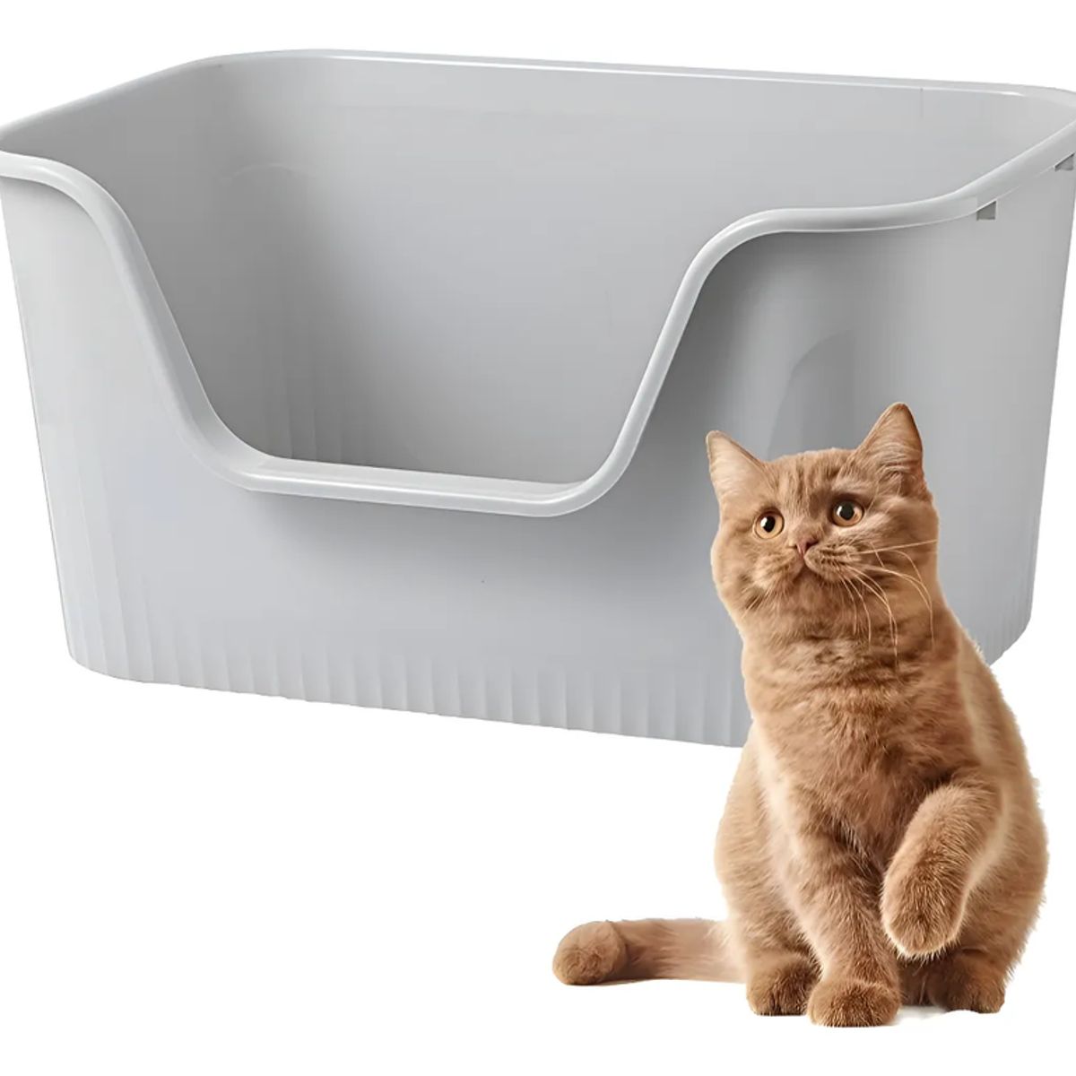 GENERICO - Arenero Extra Grande Caja Sanitaria Higiénico Gatos Mascotas Gris