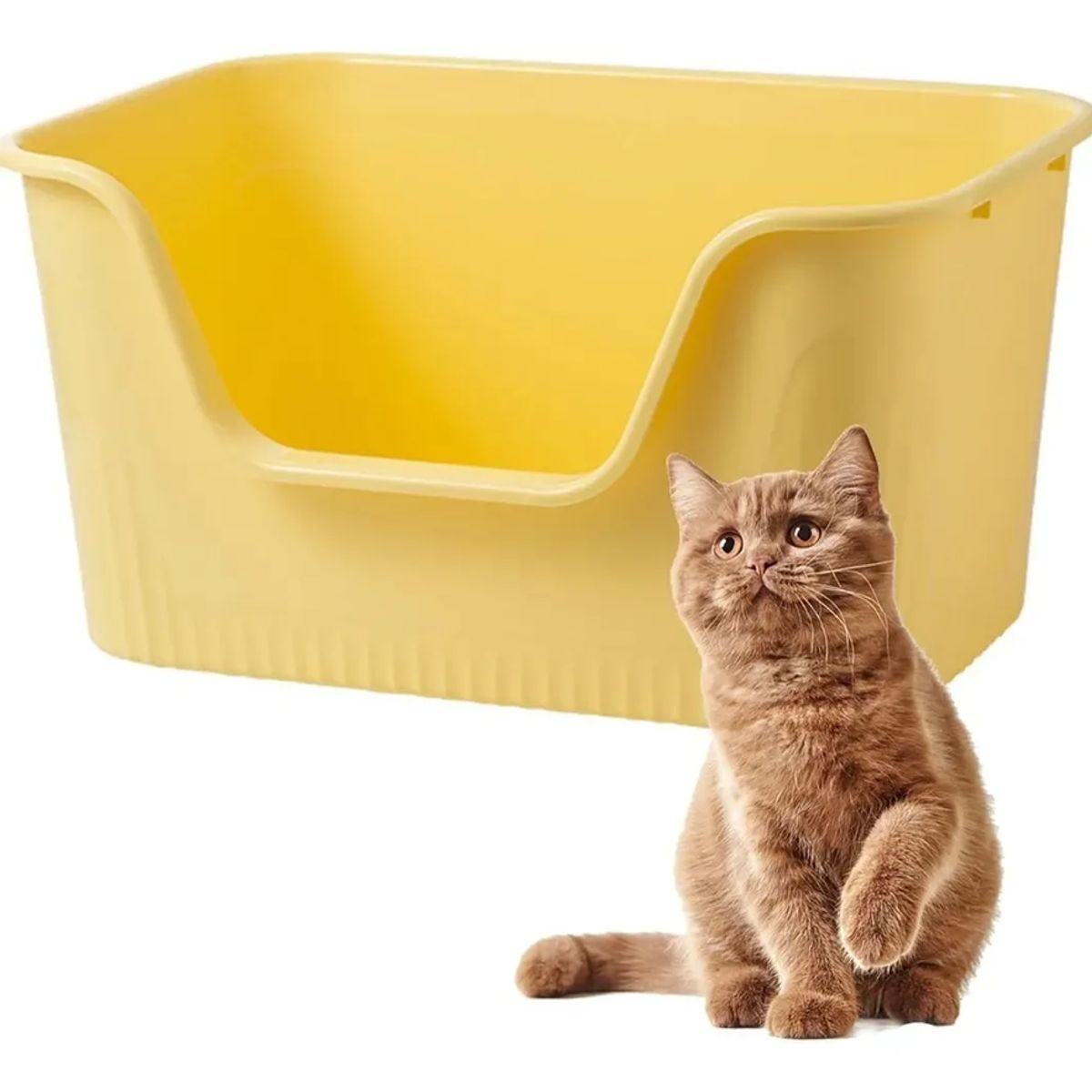 GENERICO - Arenero Extra Grande Caja Sanitaria Higiénico Gatos Mascotas Gris