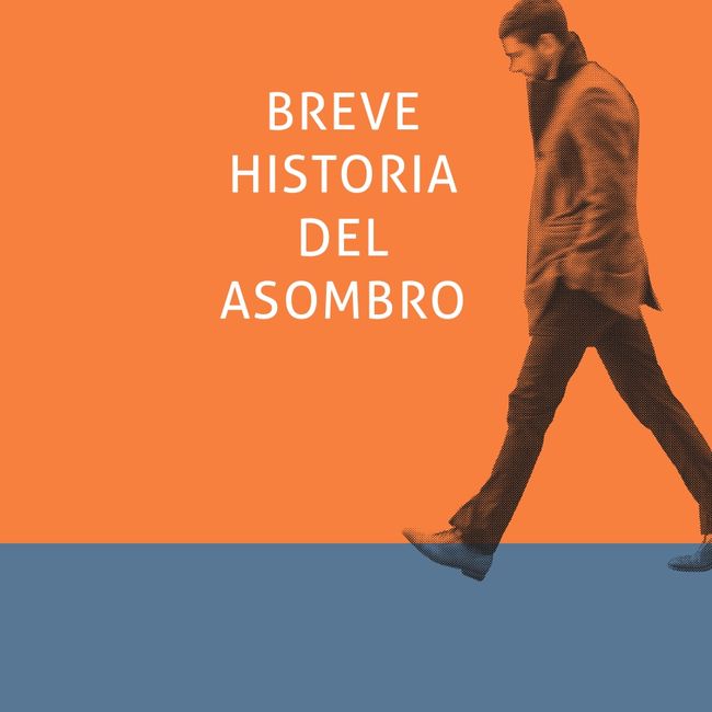 COSAS NUESTRAS - BREVE HISTORIA DEL ASOMBRO