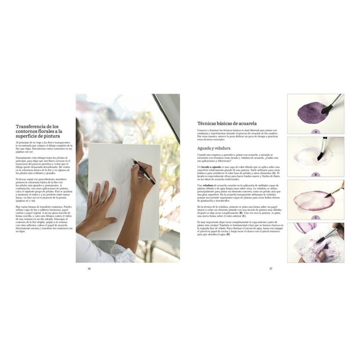 EDITORIAL CONTRAPUNTO - Taller de pintura botánica. Flores y transparencias