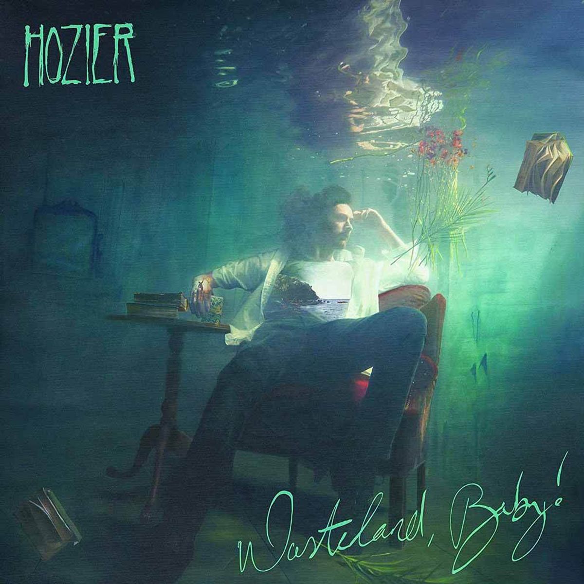 GRUPO LASER DISC - Cd Hozier Wasteland Baby 1CD