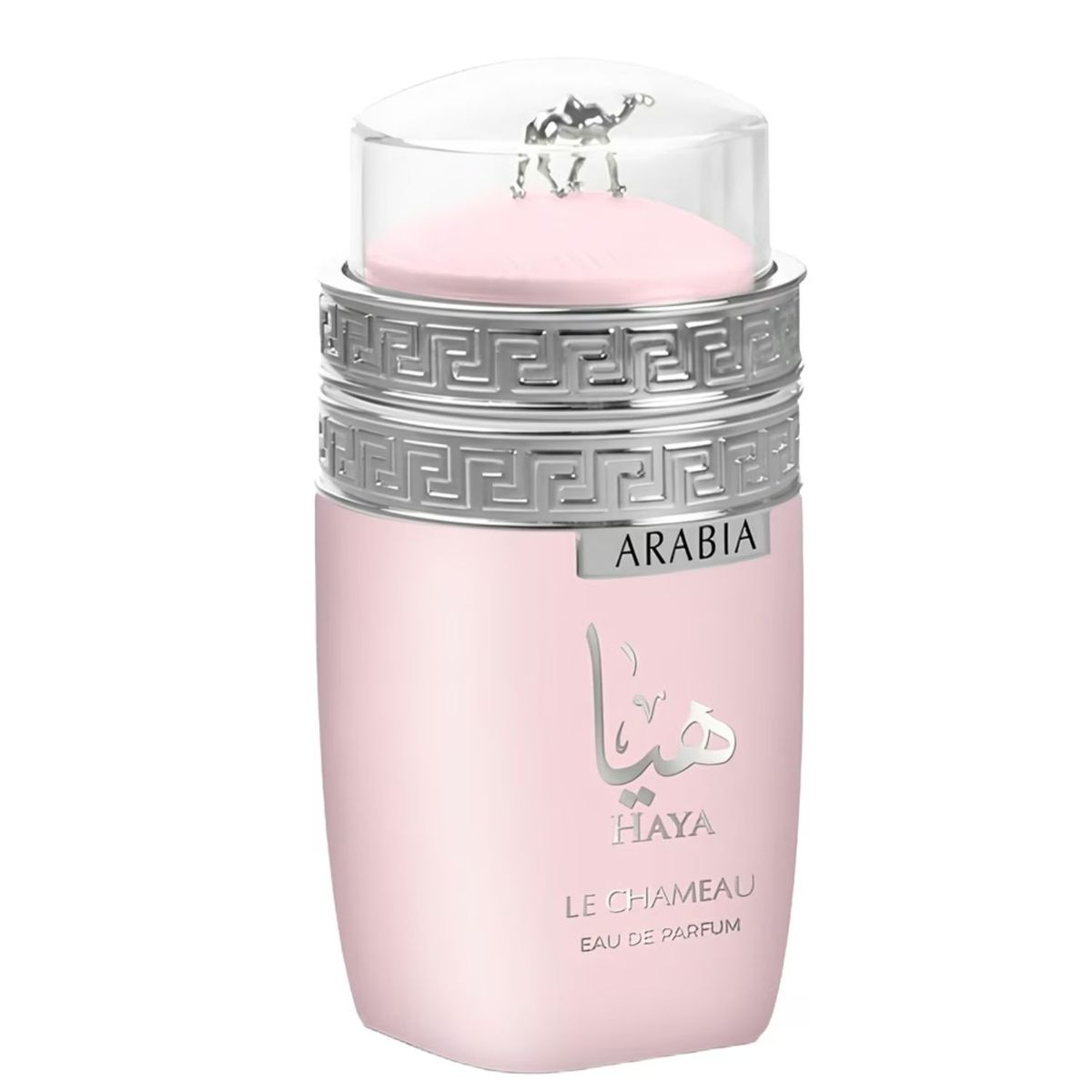 EMPER PERFUMES - PERFUME LE CHAMEAU ARABIA HAYA MUJER EDP 100 ML