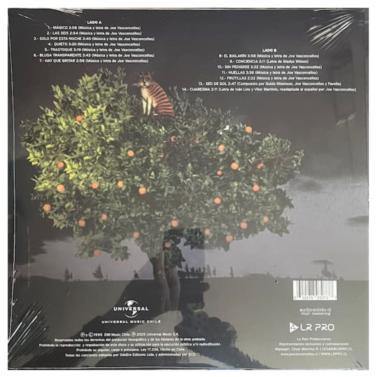 GENERICO - JOE VASCONCELLOS - TOQUE 30 AÑOS  VINILO