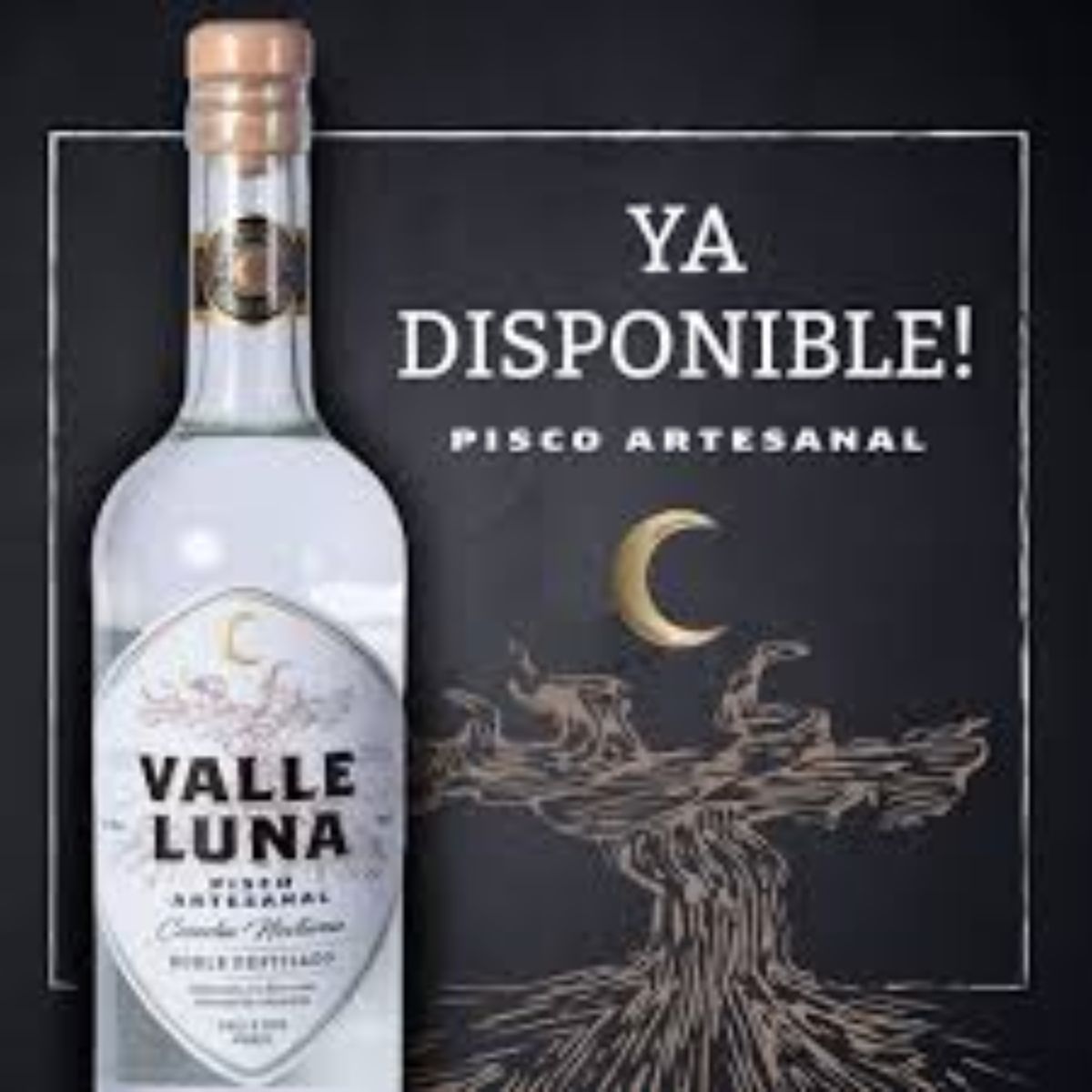 EVEREST - Pisco Valle Luna 40° Cosecha Nocturna 750cc