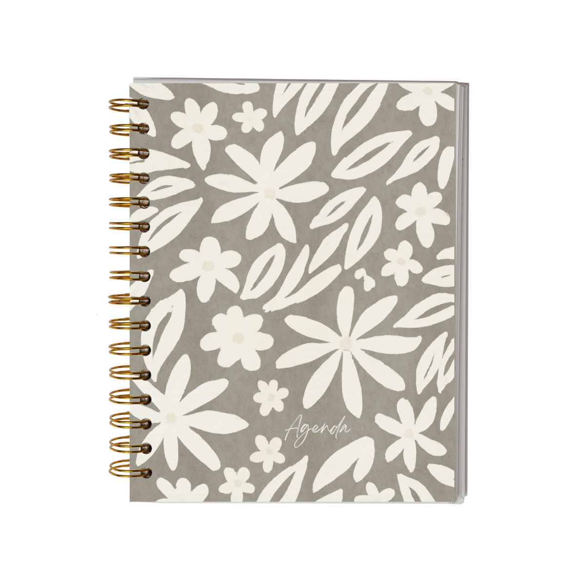 GENERICO - Agenda Sin Fecha Liviana Flexible Y Sin Fechas Fijas