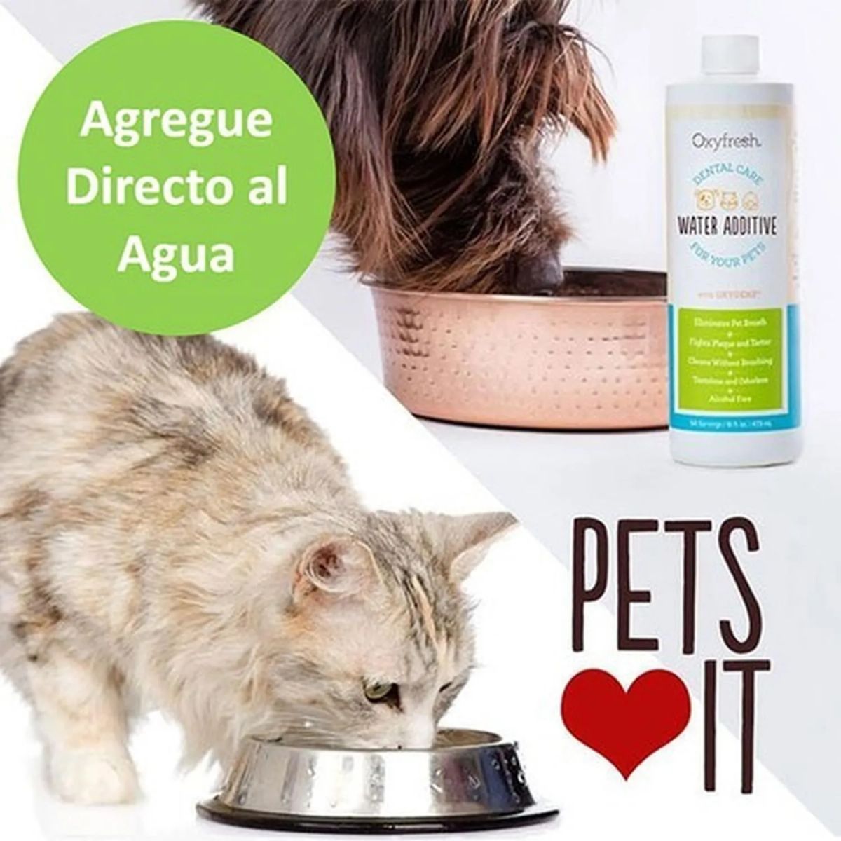 OXY - Oxyfresh Cuidado Dental Para Mascota Aditivo Para Agua 237ml Sin Sabor