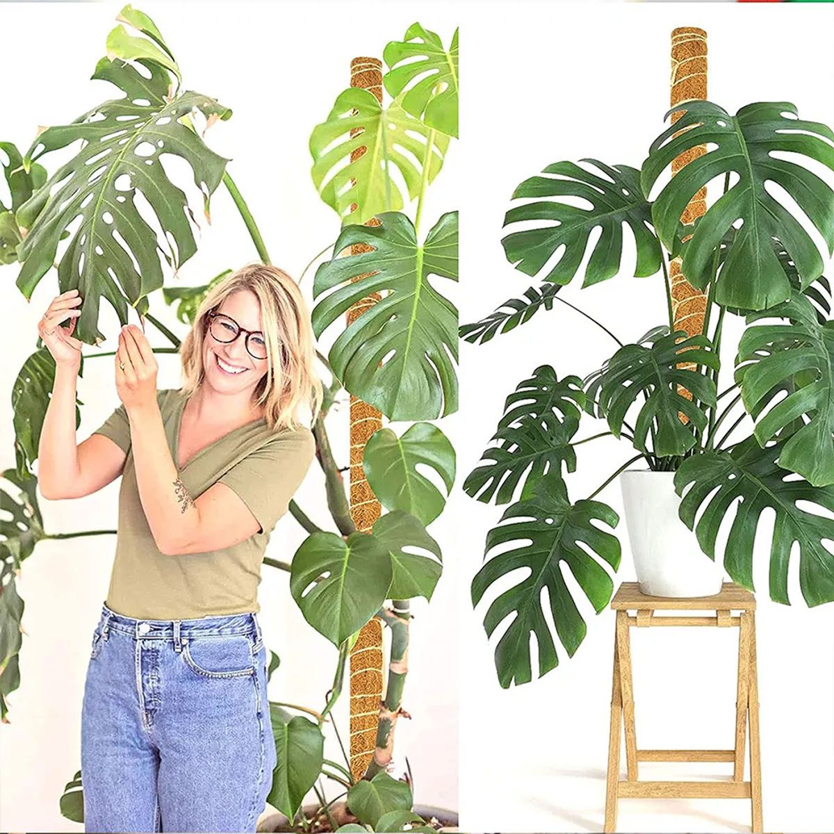 KINDA NICE - Juego De Tutor De Musgo Para Plantas 41 Cm / Moss Pole