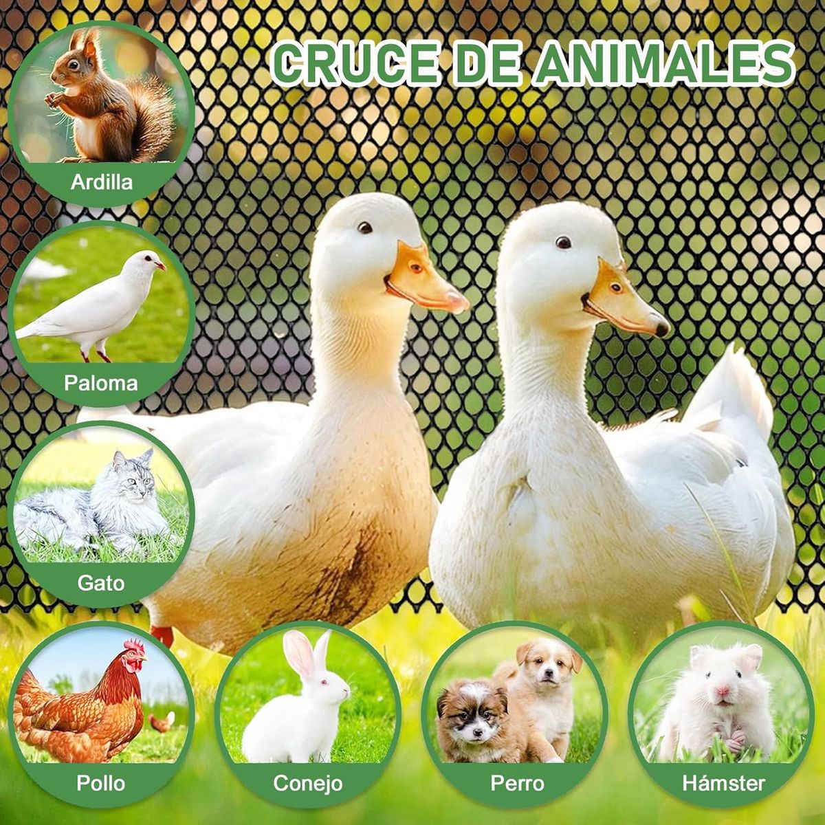 Valla De Malla De Alambre De Plástico 40cmx5m Aves De Corral, marca GENERICO - Foto 2