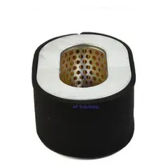 ALTERNATIVE - Filtro De Aire Generador 186f