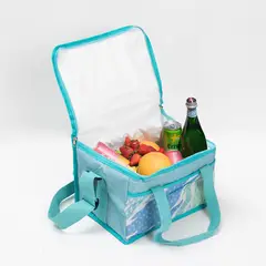 MASHINI - Bolsa Térmica Cooler Picnic Portátil 34x22x25 Manchas