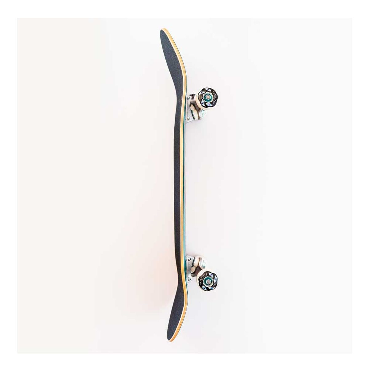 ANTHOLOGY - Skate Completo 8.125  Maple Canadiense  Abec-9