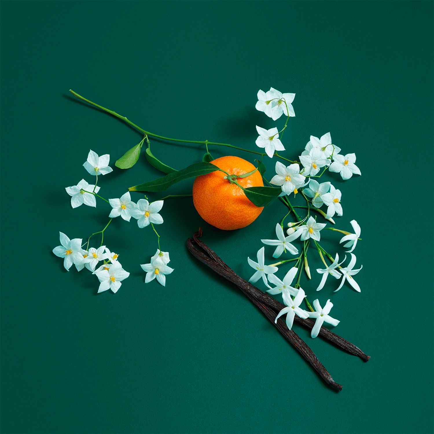 BENETTON Perfume Mujer Sisterland Green Jasmine Edt 80 Ml Benetton