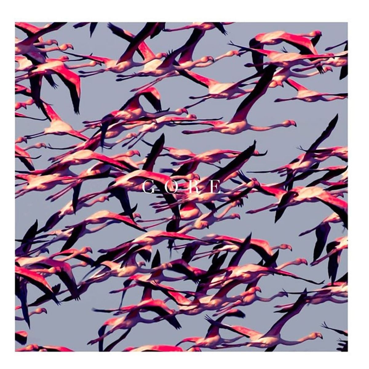 GRUPO LASER DISC - Cd Deftones  Gore 1cd
