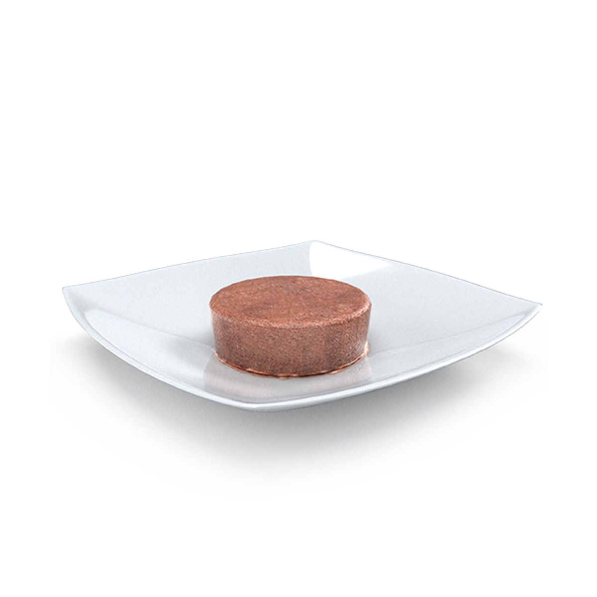 VETLIFE - Alimento Vet Life Lata Struvite Perro 300gr
