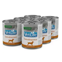 VETLIFE - Pack 6 Latas – Alimento Vet Life Convalescence Perro 300gr