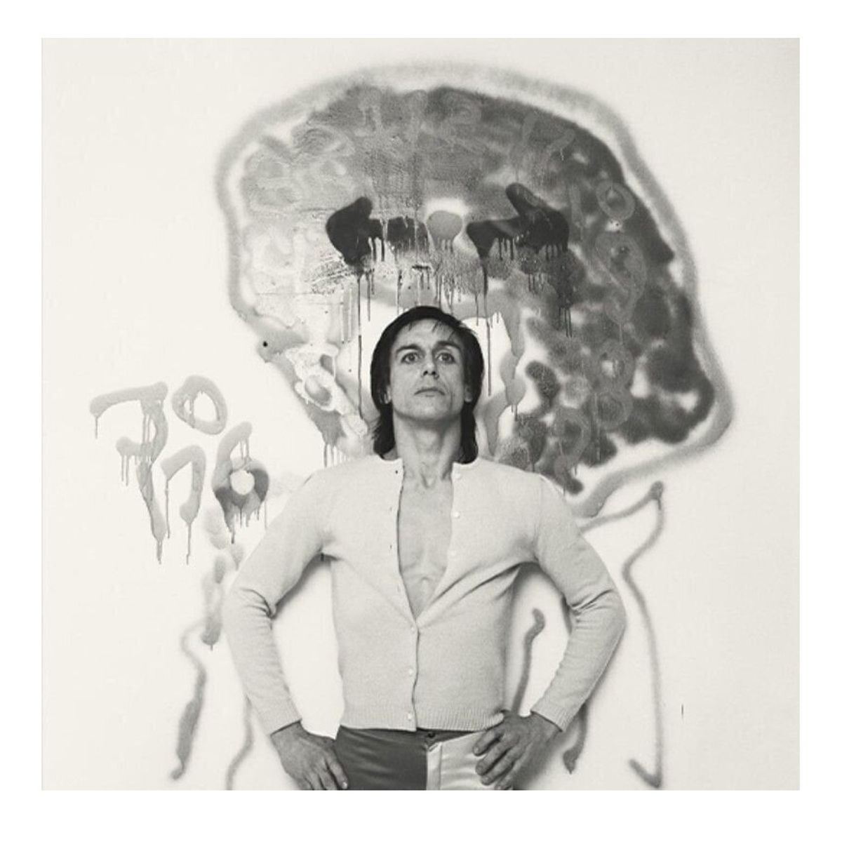 GRUPO LASER DISC - CD Iggy Pop Every Loser Alternative Cover 1CD