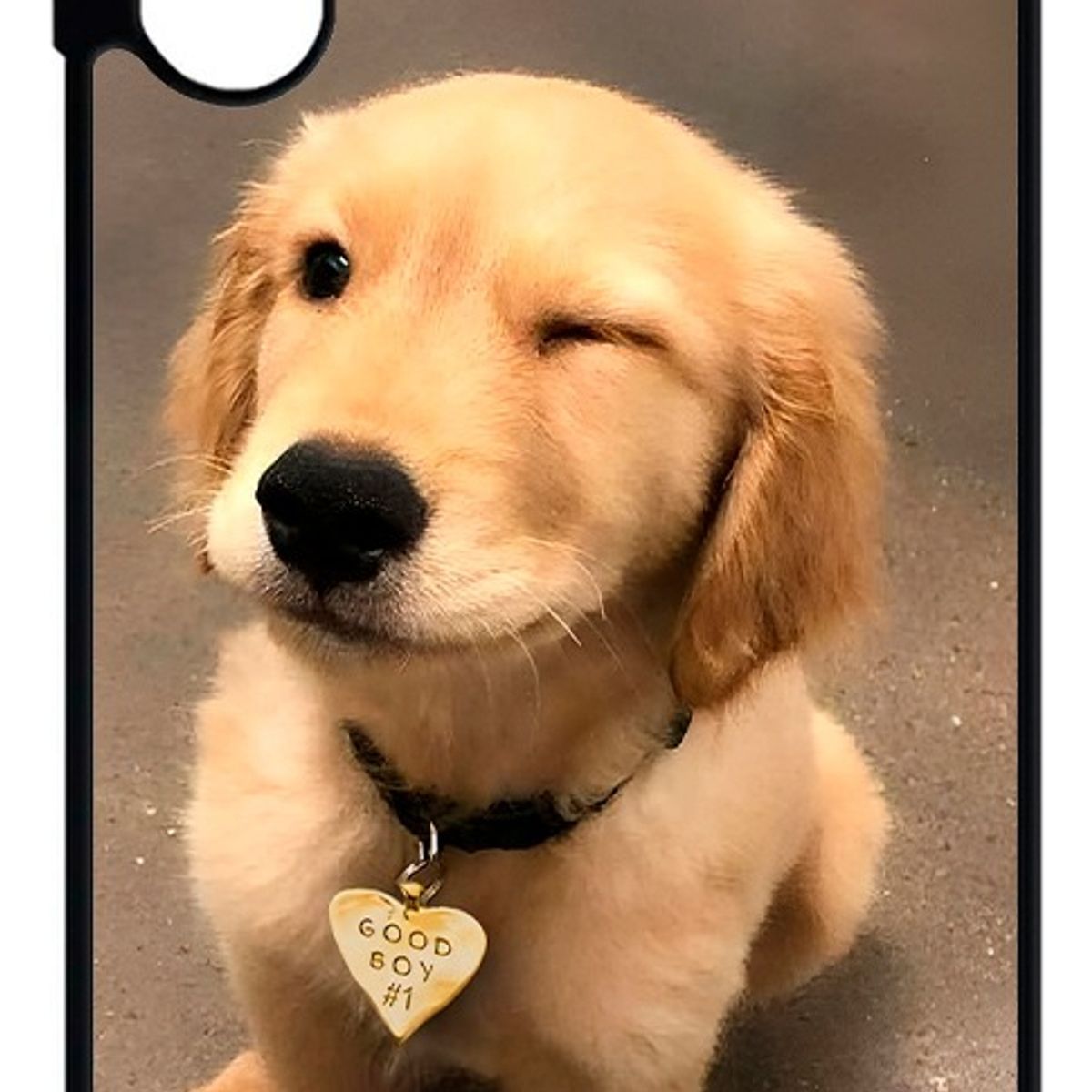 CARCASIA - Carcasa Funda para SAMSUNG A24 Diseño 37