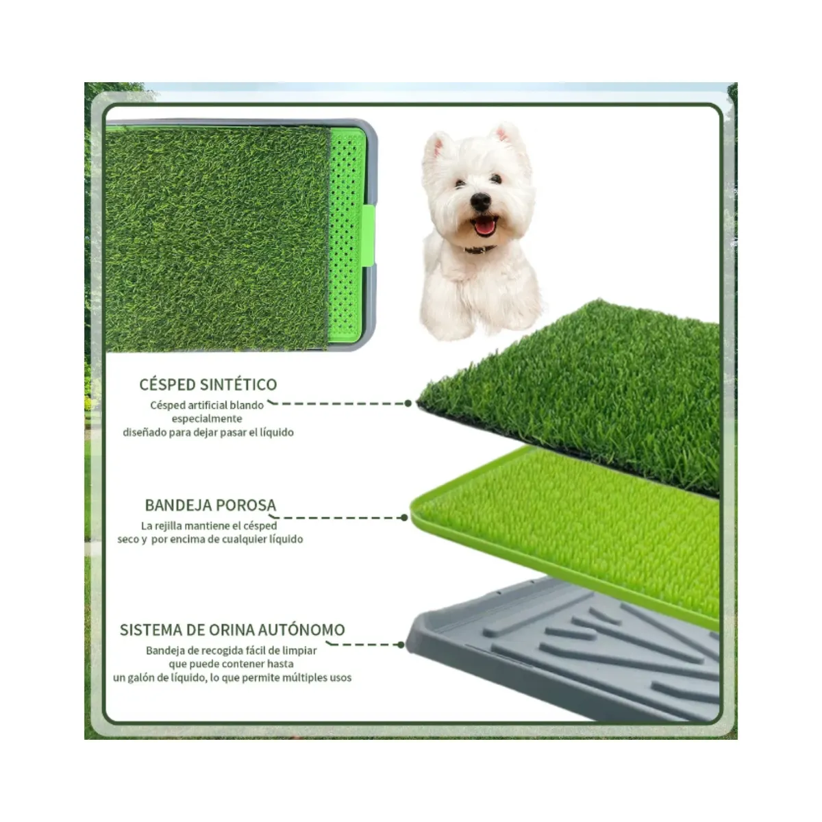 GENERICO - Baño Tapete de Entrenamiento Para Mascotas  43 x 68 cm