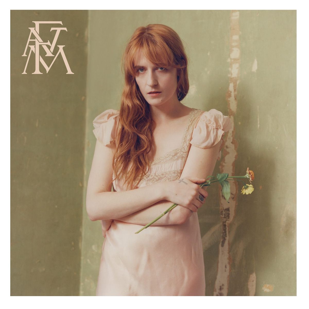 GRUPO LASER DISC - CD Florence And The Machine High As Hope 1CD