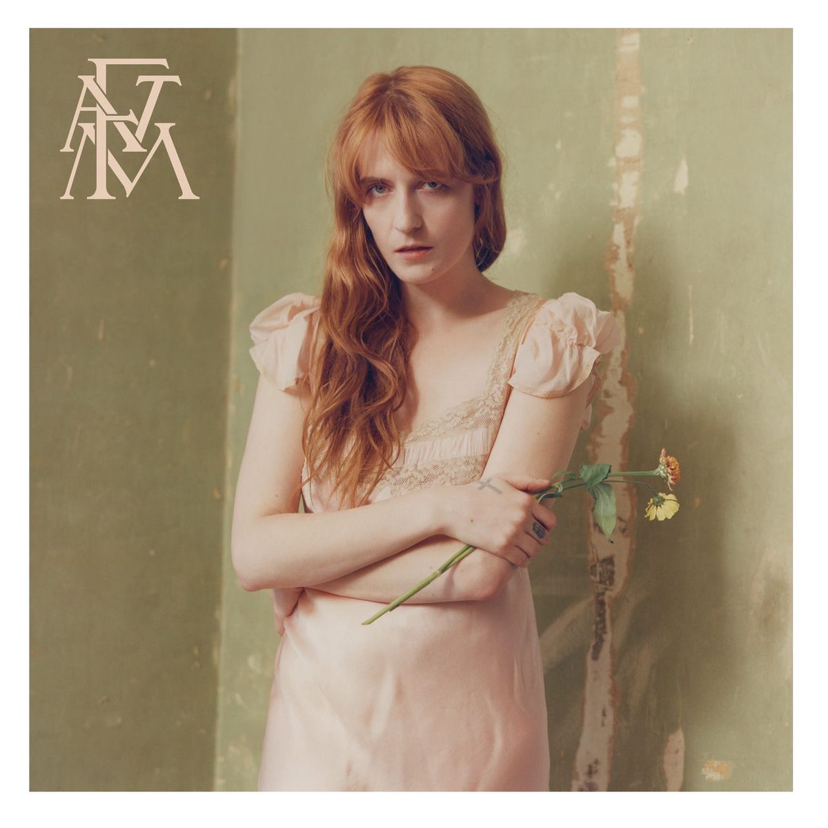 GRUPO LASER DISC - CD Florence And The Machine High As Hope 1CD