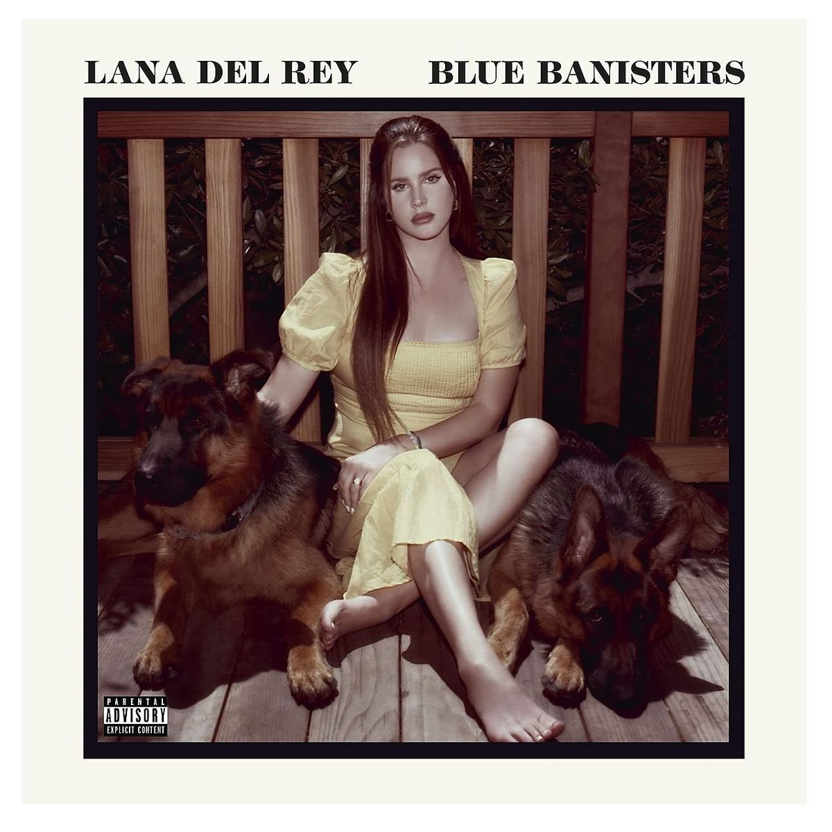 GRUPO LASER DISC - CD Lana del Rey Blue Banisters