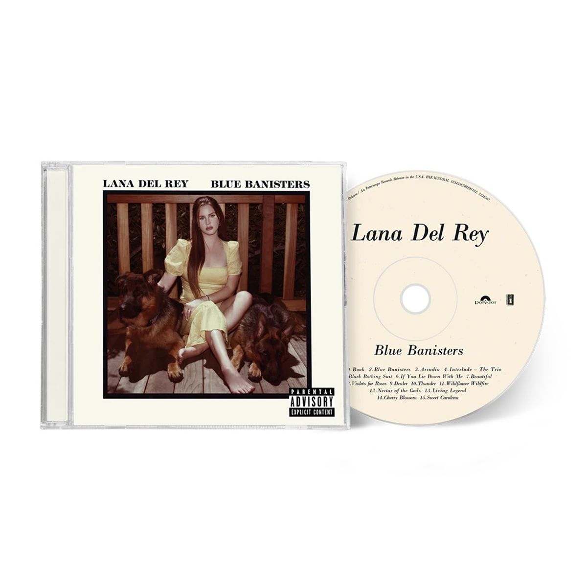 GRUPO LASER DISC - CD Lana del Rey Blue Banisters