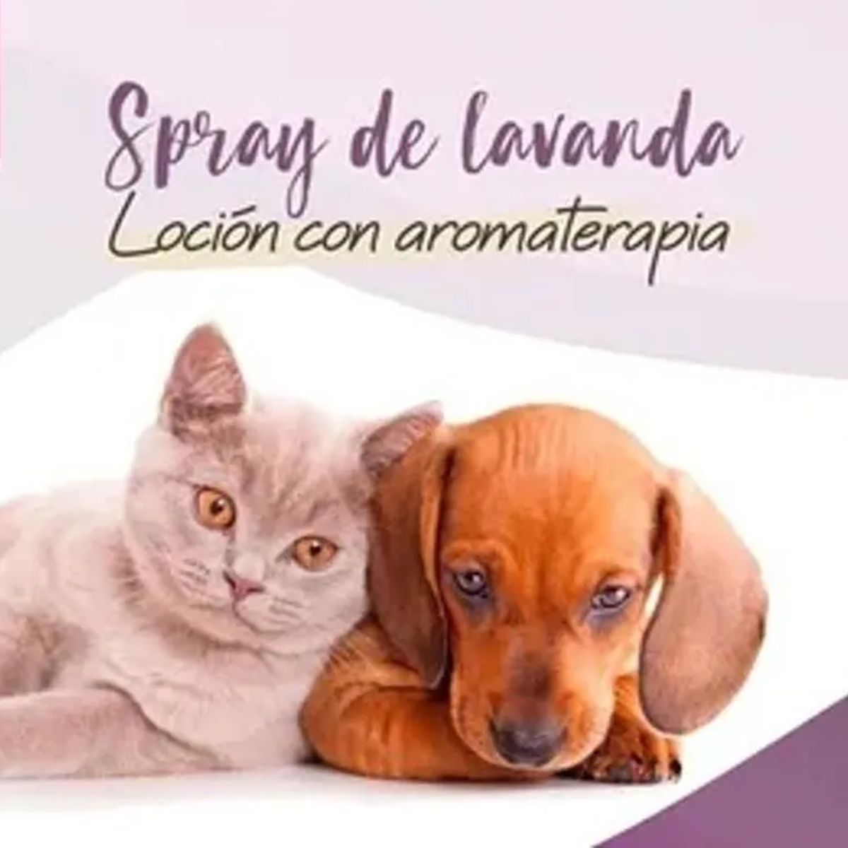TRAPER - Eco Traper Spray Lavanda Loción Con Aromaterapia Perro 250ml