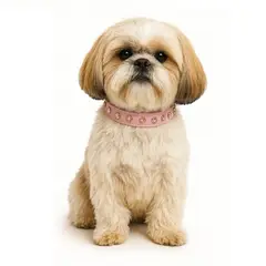 GENERICO - Collar con brillantes para Perro Peque¤o de Eco Cuero Rosado - S