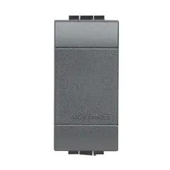 BTICINO - Modulo Falso Polo Antracita Living Light