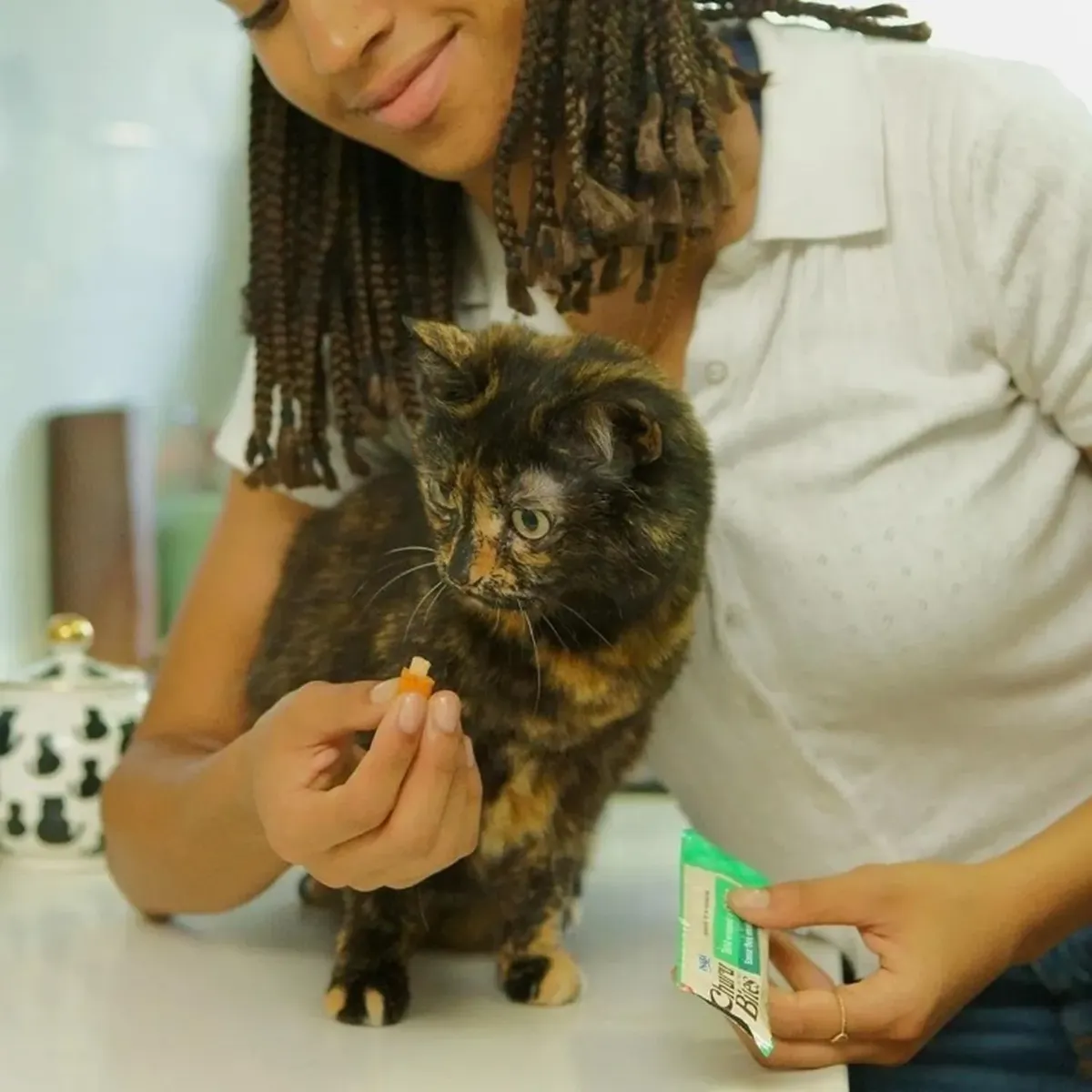 INABA - Inaba Snack Suplemento Para Gato Churu Bites Cat Treat 30g - Verde