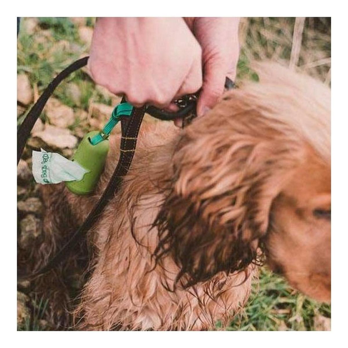 BECO PETS - Beco Pod Dispensador Porta Bolsas Para Paseo + 15 Bolsas