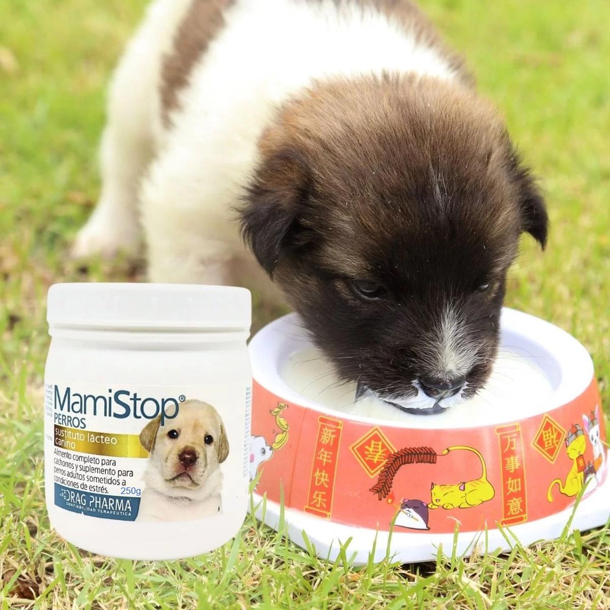 DRAG PHARMA - Drag Pharma Mamistop Perros Sustituto Lácteo Canino 250g