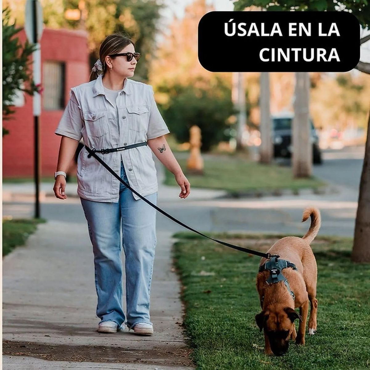 PETLOUNGE - Petlounge Correa De Paseo Manos Libres Para Mascotas Perros - Negro