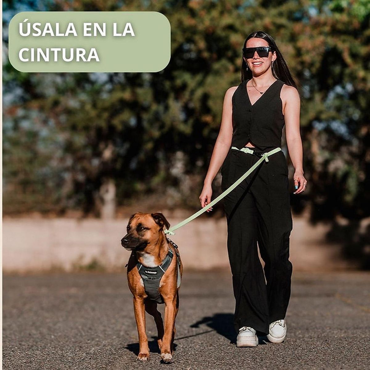 PETLOUNGE - Petlounge Correa De Paseo Manos Libres Para Mascotas Perros - Verde