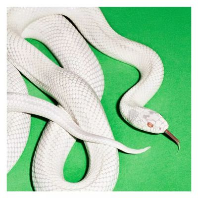 Imagen 2 del producto Deftones - Private Music - Vinilo Clear