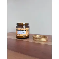 GENERICO - Vela Aromática Soja Maracuyá 100ml