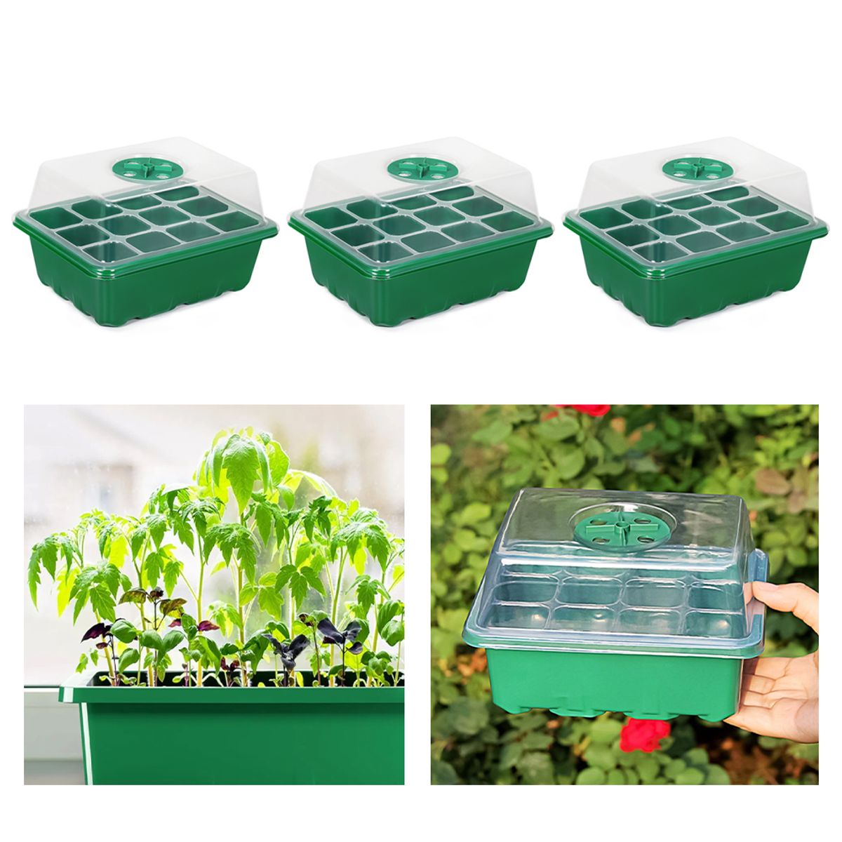 KINDA NICE - Pack De 3 Germinadores Para Semilleros Domésticos De Inverna